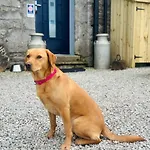 Vakantiehuis 1 Bed In Carnforth Oc-90528