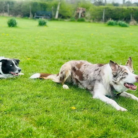 1 Bed In Arnside Silverdale 90528 Tatil Evi