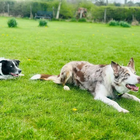 1 Bed In Carnforth Oc-90528 Vakantiehuis Beetham